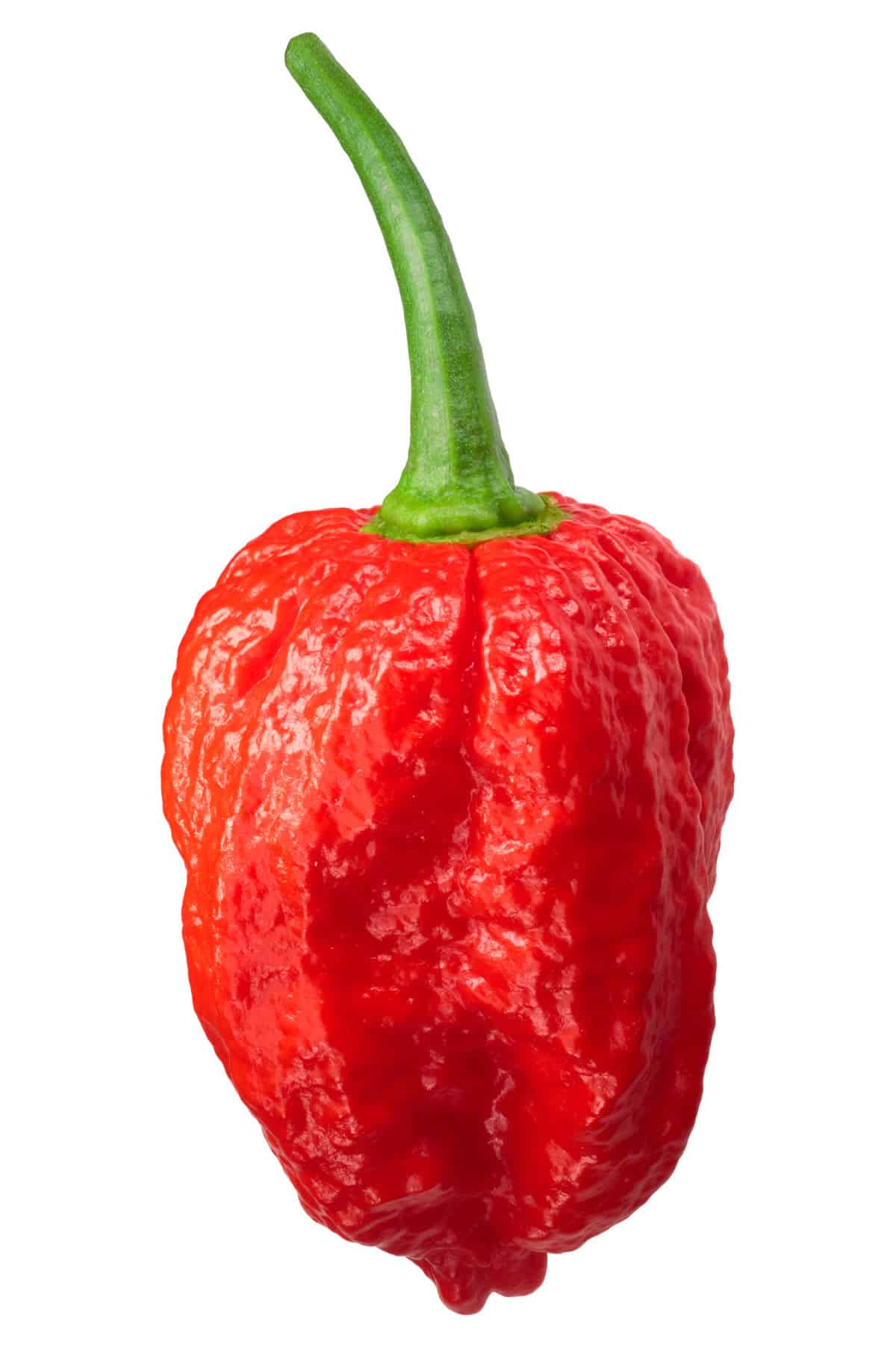 chili pepper poletab rasva parim koolitus keha rasva poletamiseks