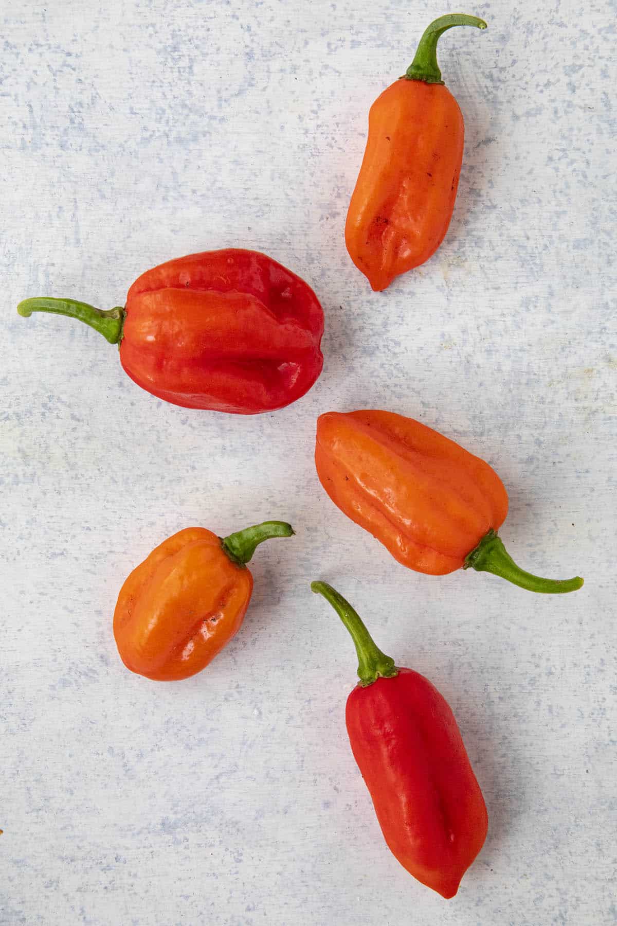 chili pepper poletab rasva meeste tervis poletab kiiresti rasva