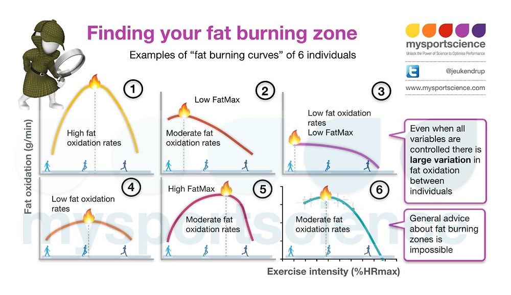fat burning power zone jalgrattasoit