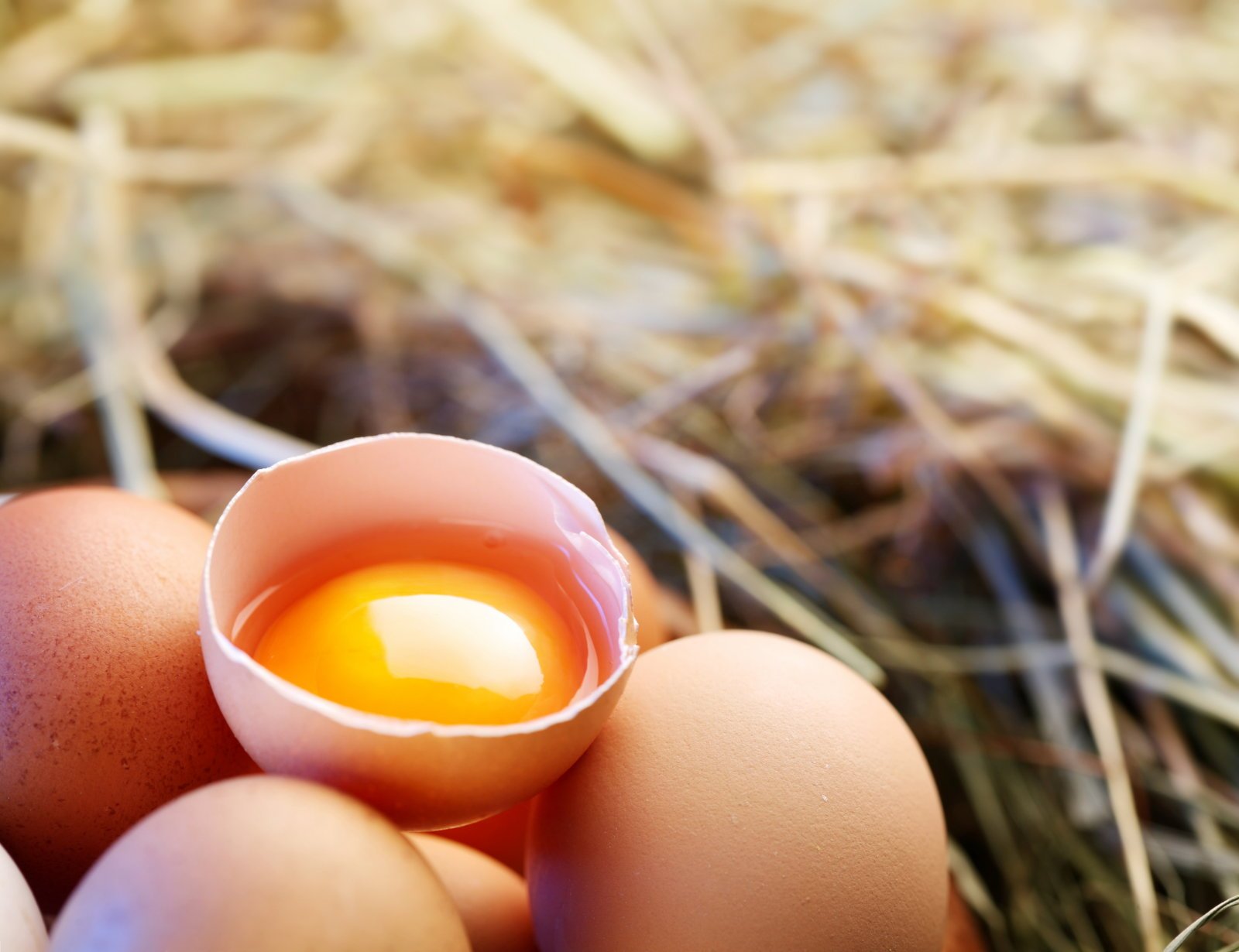 munavalge vs munakollane kaalulangus rasva poletava ahju